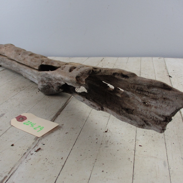 Large Long Freshwater Driftwood Piece cedar piece hollowed Pretty aquarium or habitat piece 224-29