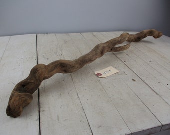 Interesting medium long Curving Root Driftwood Freshwater Drift Wood Great  Piece Unique Curvy Root  Snake  macrame rod 124-5