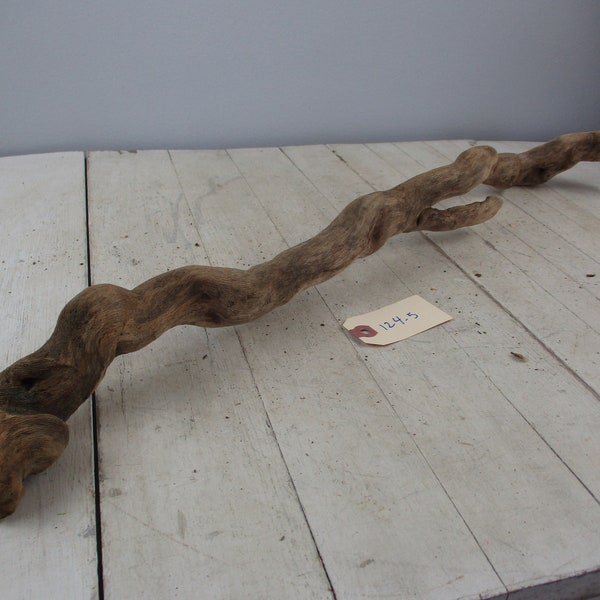 Interesting medium long Curving Root Driftwood Freshwater Drift Wood Great  Piece Unique Curvy Root  Snake  macrame rod 124-5