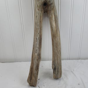 May include: A weathered piece of driftwood, light brown in color, with a natural, organic shape. The wood has a split, V-shaped design, with a knot and various imperfections. The driftwood is displayed against a white background.