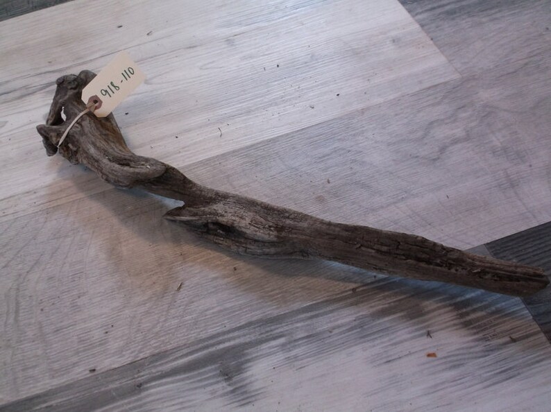 Interesting Small Sized Piece of Fresh Water driftwood Great size for an Aquarium Lightweight with great details and colors Rustic 918-110