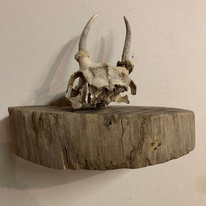Awesome driftwood half shelf. Perfect accent piece for your lake or beach house