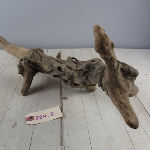 Medium Sized long Driftwood Piece Gnarly Bumpy root with nice wear and forks OOAK 224-2