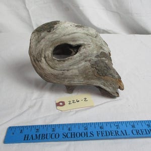 Könnte beinhalten: Ein verwittertes Stück Treibholz mit einem großen, zentralen Loch. Das Holz hat eine hellgraue und braune Farbpalette mit einer strukturierten Oberfläche. Ein kleines Etikett mit der Nummer "226-2" ist angebracht.