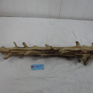 May include: A piece of light brown driftwood with a weathered, textured surface and several small, protruding branches. A small blue rectangular tag with the handwritten text 526-7 is positioned directly below the centre of the wood.