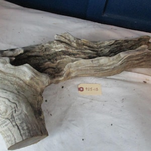 Könnte beinhalten: Ein Stück Treibholz mit hellgrauen und braunen Farbtönen. Das Holz hat eine strukturierte Oberfläche mit sichtbaren Maserungsmustern und eine natürliche, organische Form. Ein kleines Etikett mit der Nummer "925-13" ist angebracht.