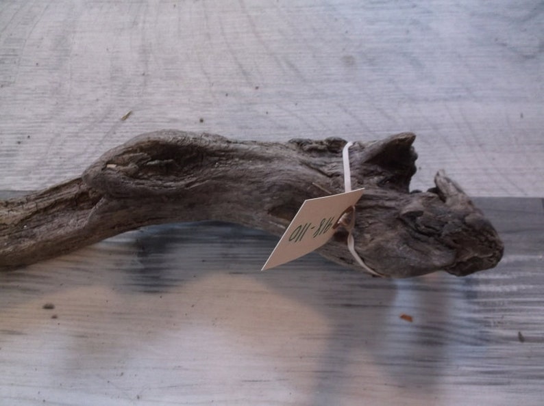 Interesting Small Sized Piece of Fresh Water driftwood Great size for an Aquarium Lightweight with great details and colors Rustic 918-110