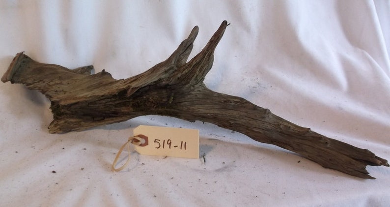 Medium Driftwood Piece with Great Textures and Details Freshwater Drift Wood Part of a root 519-11 Gnarly Interesting Small