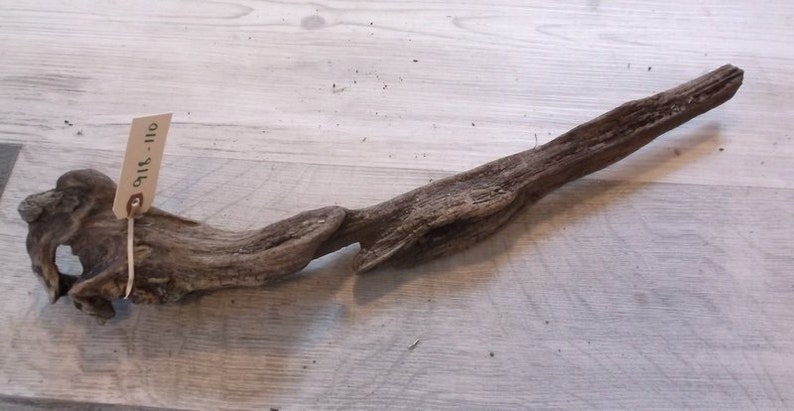 Interesting Small Sized Piece of Fresh Water driftwood Great size for an Aquarium Lightweight with great details and colors Rustic 918-110