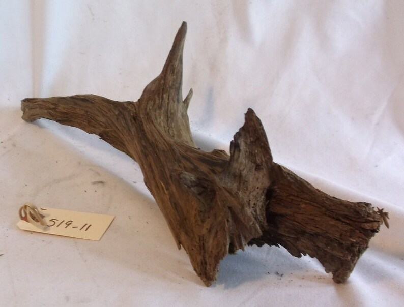 Medium Driftwood Piece with Great Textures and Details Freshwater Drift Wood Part of a root 519-11 Gnarly Interesting Small