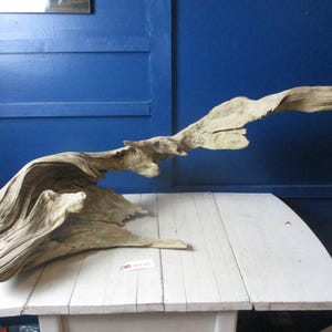 Large Unique Piece of Fresh Water driftwood with gorgeous gnarlywater wear and grooves and lines 425-29