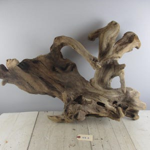 Gorgeous Freshwater Driftwood Root large piece with nice water wear - pretty for wall hanging or large habitat or plants 125-3