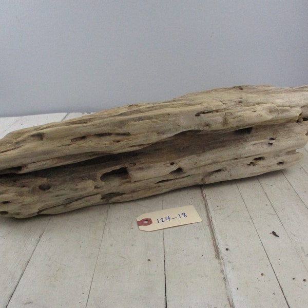 Beau morceau de sculpture d'art en bois flotté naturel Pièce de bois flotté de taille moyenne avec des trous intéressants, usure de l'eau 124-18