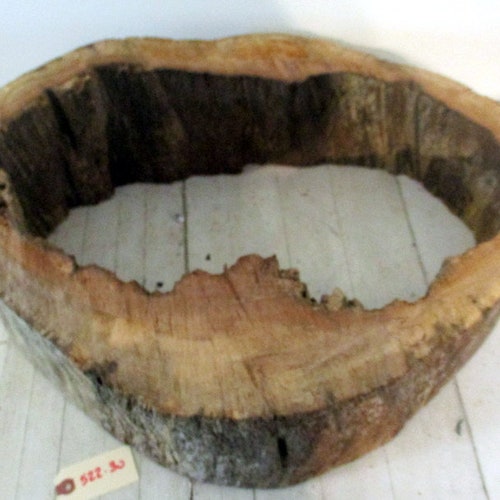 Amazing Slice of a Hollowed shops Driftwood Log Freshwater driftwood Cut into approximately 6 1/2