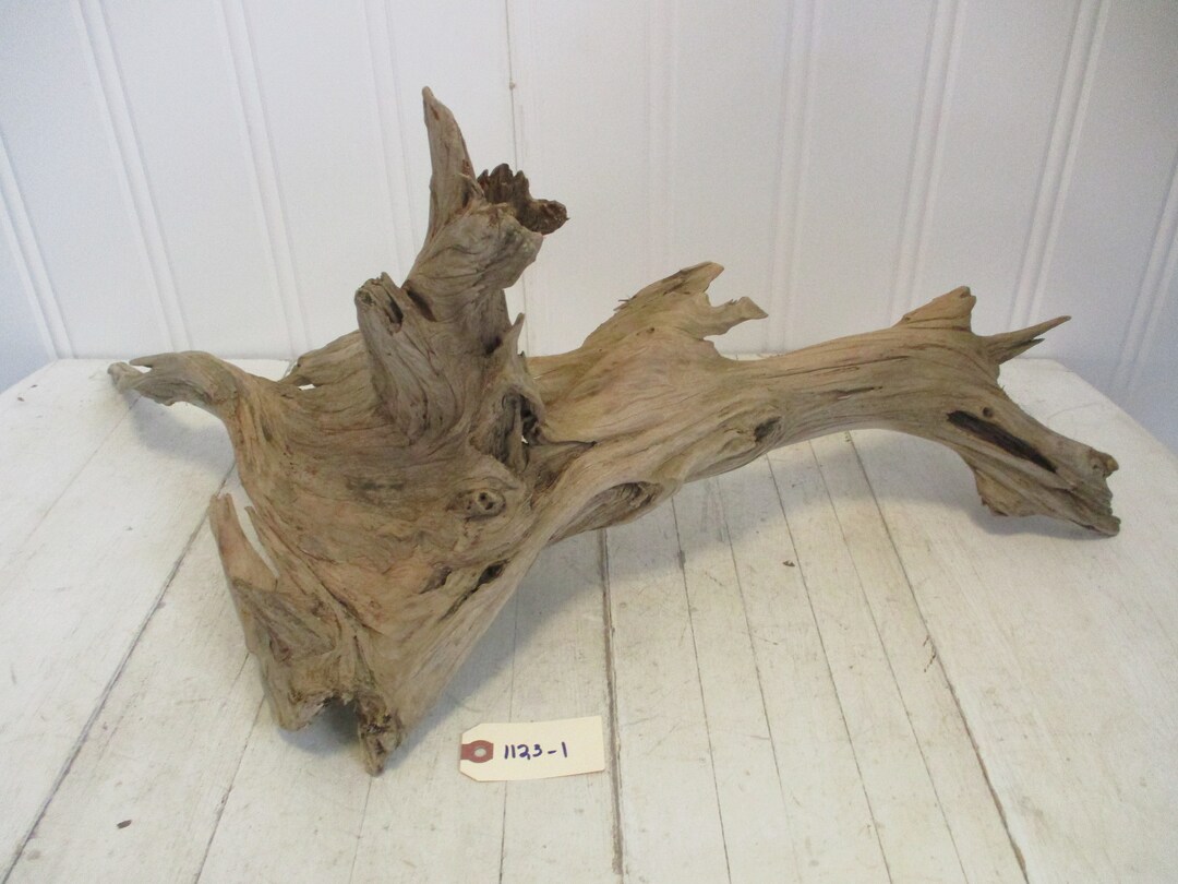 Beautiful Piece of Freshwater Driftwood Medium / Large Sized Etsy