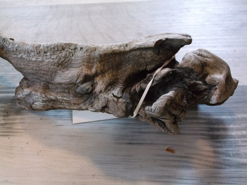 Interesting Small Sized Piece of Fresh Water driftwood Great size for an Aquarium Lightweight with great details and colors Rustic 918-110