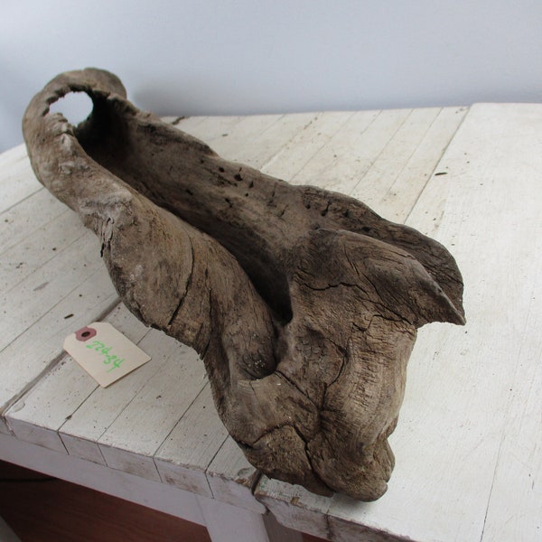 Interesting Unique piece of Freshwater Driftwood Large piece of tree trunk  hollowed 224-34