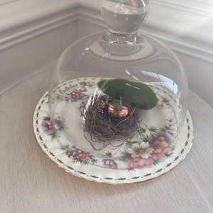 Könnte beinhalten: Eine Glasglocke mit einem floral gemusterten Teller darunter. In der Glocke befindet sich ein kleines Vogelnest mit Moos und einer kleinen Pflanze.