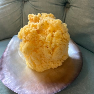 Bleached Honeycomb Sea Sponge 4-5 g