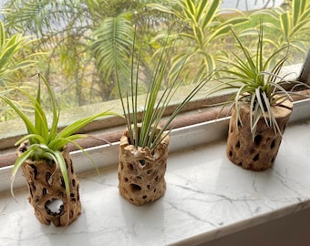 Boho Decor Wood Air Plant Holder Unique Air Plant Gift Boho Home Decor Air Plant Challa Wood Best Friend Gift Coworker Gift Idea FREE SHIP