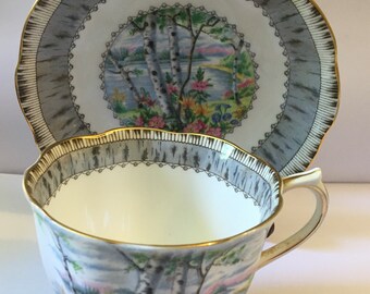 Vintage Royal Albert Fine Bone China Tea Cup and Saucer * Silver Birch FREE SHIPPING :)
