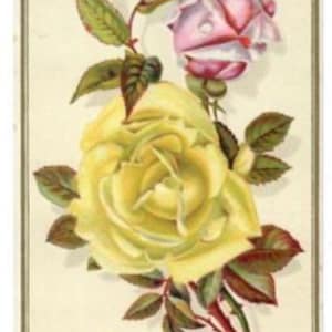 Victorian Muzzy's Corn and Gloss Starch Advertising Trade Card Elkhart IN. Free Shipping
