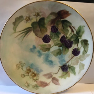 Vintage W.G. & Co. Limoges France Hand Painted Cabinet Plate * Blackberrys Free Shipping