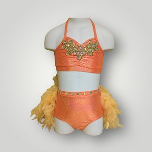 Custom Dance costume, dance competition costume, handmade dance costume, orange two piece costume with feathers, made to order