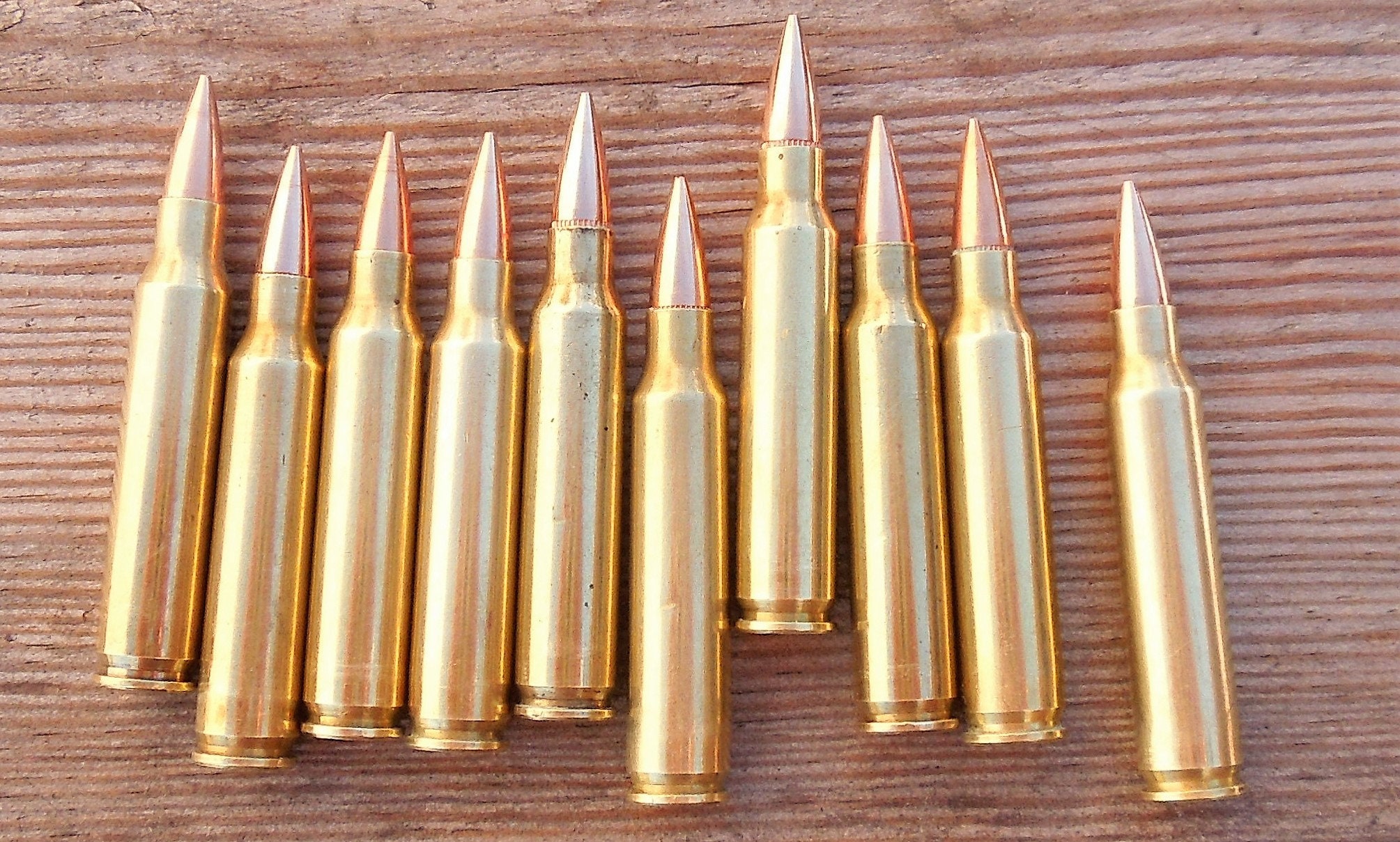 Dummy rifle bullets/Replica/Dummy .223 Remington/ 5.56mm Etsy