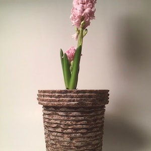 The Bark - Natural Granite Stone Flowerpot, Indoor and Outdoor, Rock Flower, Rustic, Heavy Gift, Gardening Item, Stabile Safe Flower Pot