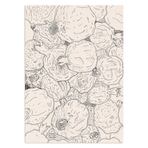The Dry Pomegranates, detailed line art drawing in b&w of Persian fruits element as a symbol of life, Iran and Iranian Yalda night, Nowrouz
