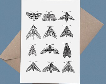 Hawk Moths: A5 Greetings Card and A5 Artist Print