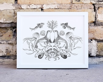 Symmetrical Seals: A4 Signed Artist Print