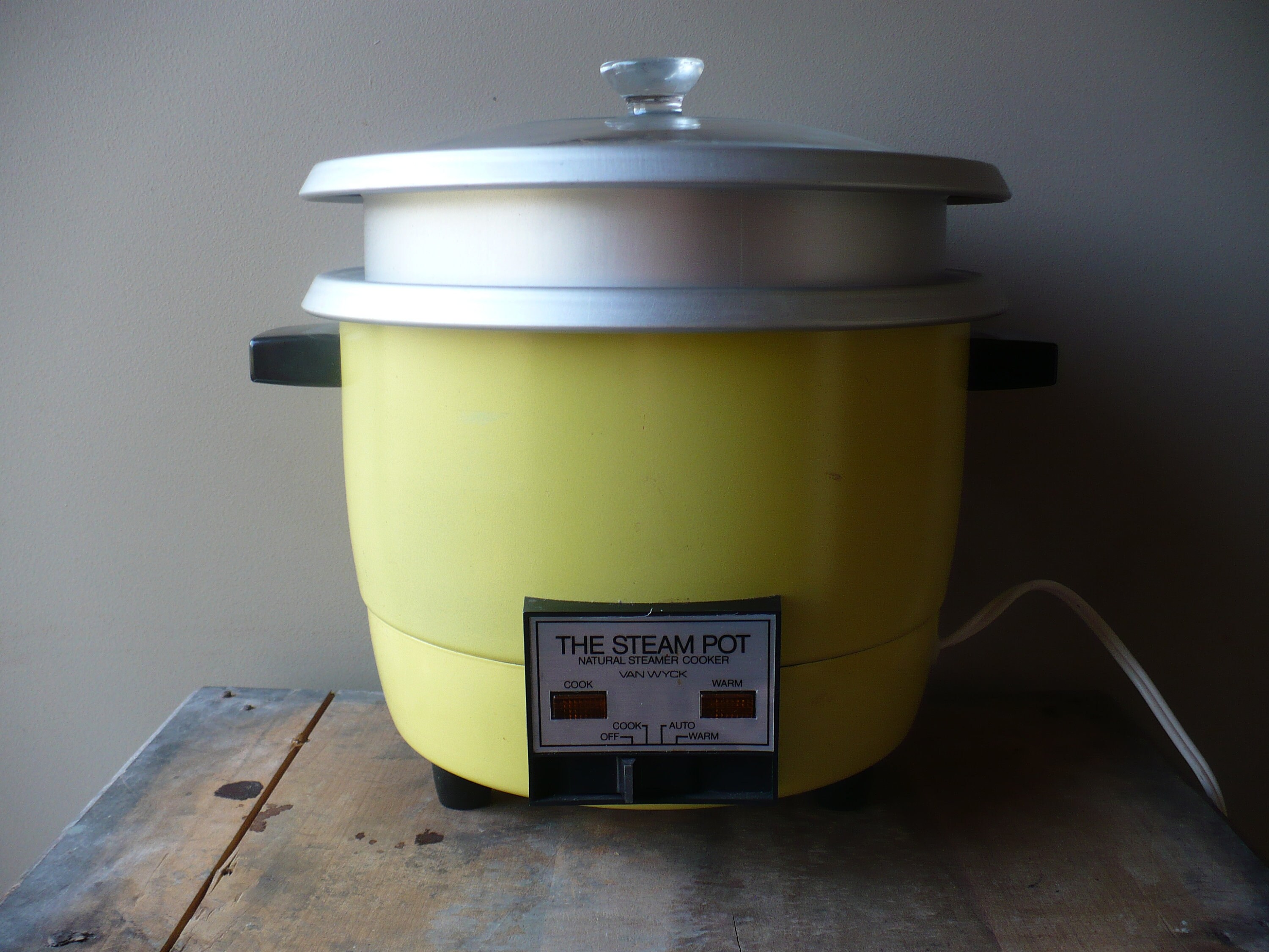 The Steam Pot Natural Steamer Cooker by Van Wyck, Vintage Electric