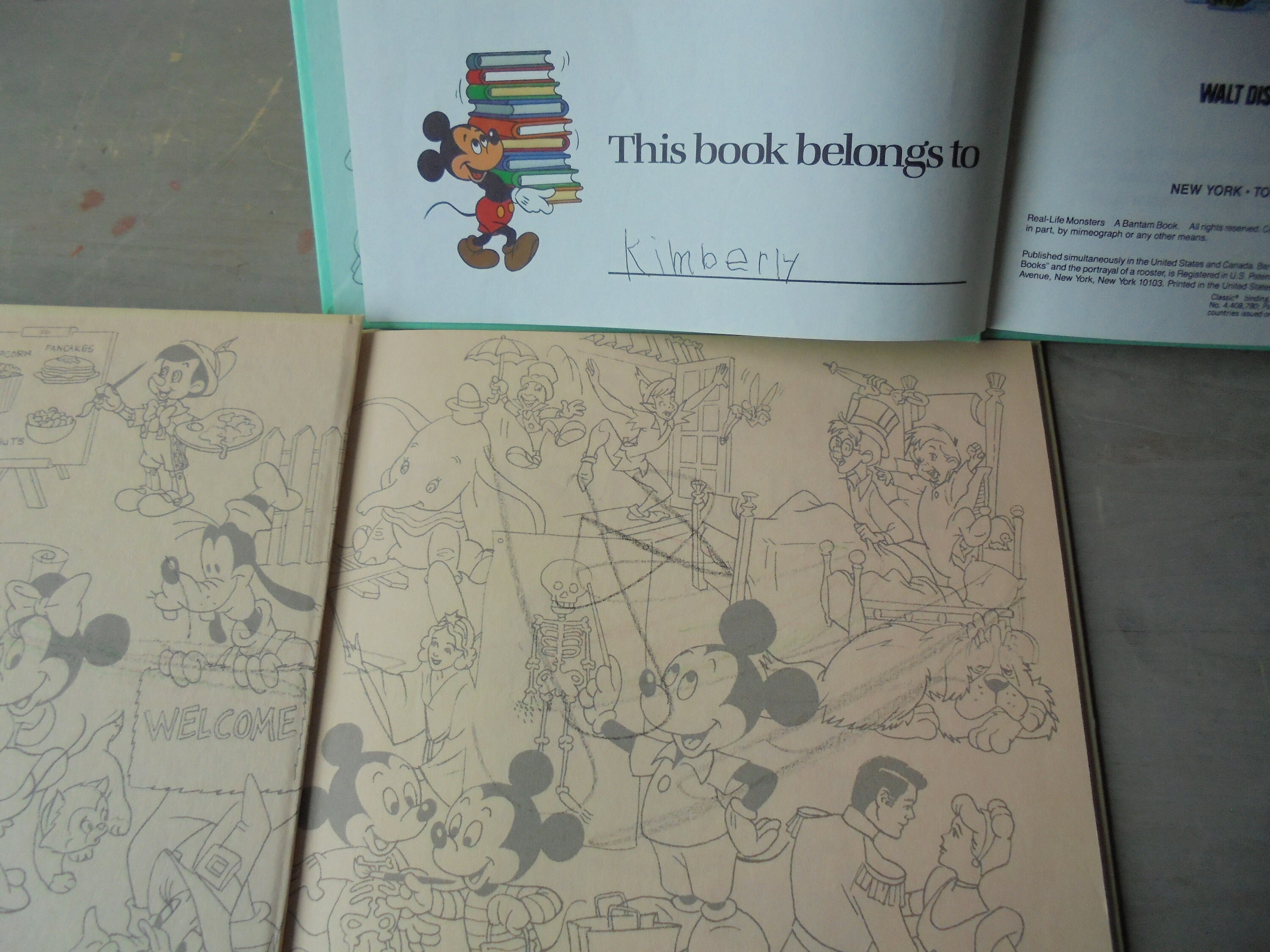 DISNEY FUN TO LEARN LIBRARY トートバッグ付 絵本
