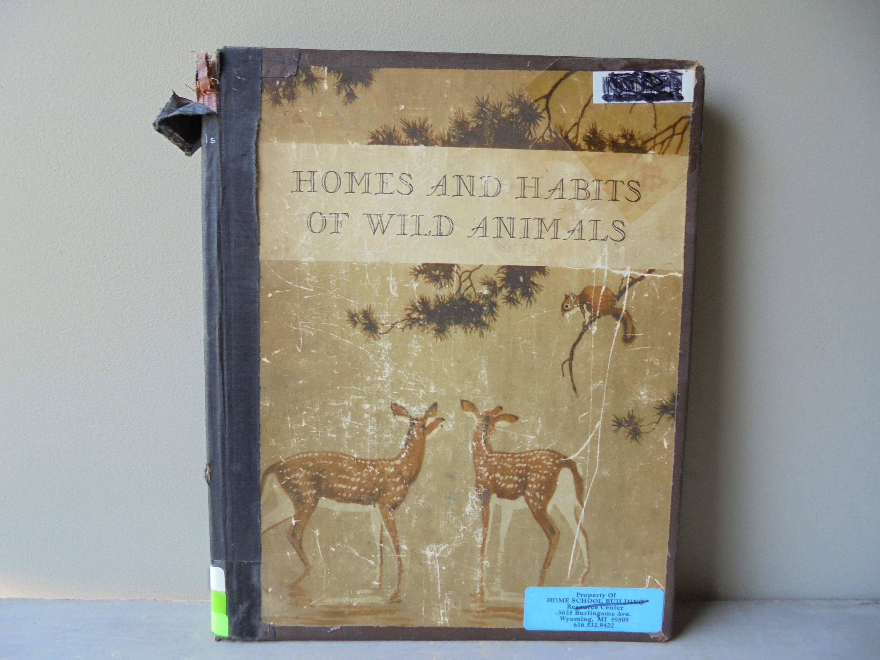Vintage Homes and Habits of Wild Animals by Karl Patterson - Etsy Hong Kong Vintage Homes and Habits of Wild Animals by Karl Patterson - Etsy Hong Kong