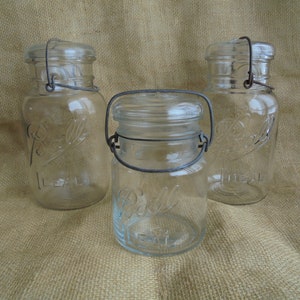 Colección de tarros de conserva vintage, tarro de conserva con forma de bola con tapa de vidrio y asa de alambre, juego de tres tarros, decoración de cocina de estilo rústico, TheEarlyBirdFinds