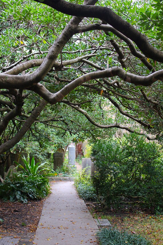 Charleston SC Print Charleston Wall Art Charleston Photo Etsy