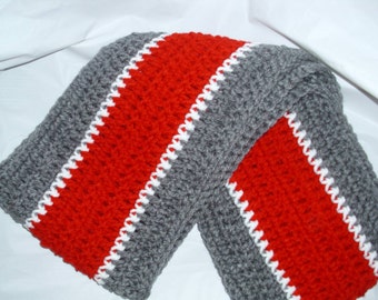 Buckeyes inspired scarf. Red / scarlet and gray striped scarf with fringe. Warm Ohio State Buckeyes scarf.