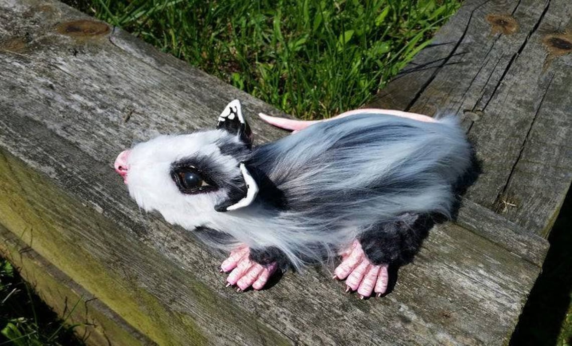 Realistic Opossum Taxidermy Style Art Doll Life Size Sculpture Etsy