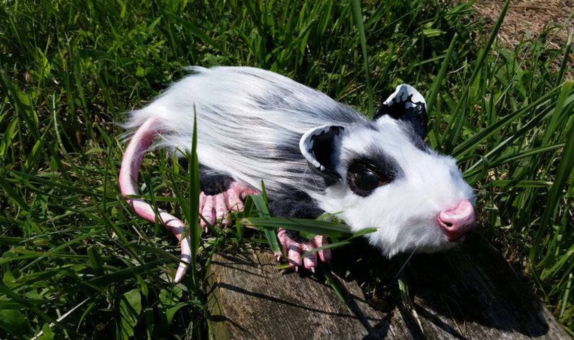 Realistic Opossum Taxidermy Style Art Doll Life Size Sculpture Etsy