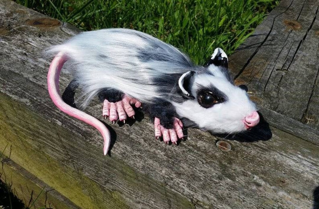 Realistic Opossum Taxidermy Style Art Doll Life Size Sculpture Etsy