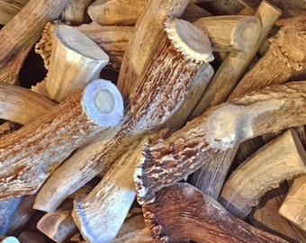 Bulk Packs - Extra Large Premium Deer Antler Dog Chews - JUMBO - Organic Antlers for Dogs - Natural Shed Antlers