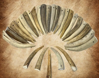12- Pack - *Drilled Hole* Polished Deer Antler Crafting Tips - Points/Tines/Pendants - Premium Grade A - Pick Your Size