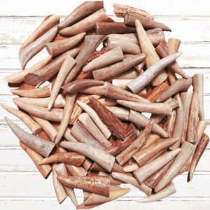 Bulk Packs - Small Polished Deer Antler Crafting Tips /Tines/Points/Pendant - Size 1&quot; To 2.5&quot; Long - GRADE A