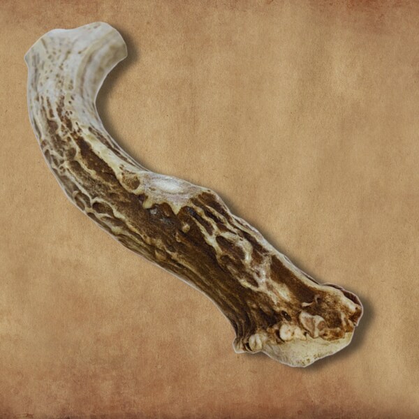 Deer Antler Handle Etsy