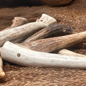 Drilled Antler Polished Tips, Pendants - Choose Size & Quantity - Craft Ready Deer Antler Beads for Jewelry Making, Antler Crafts