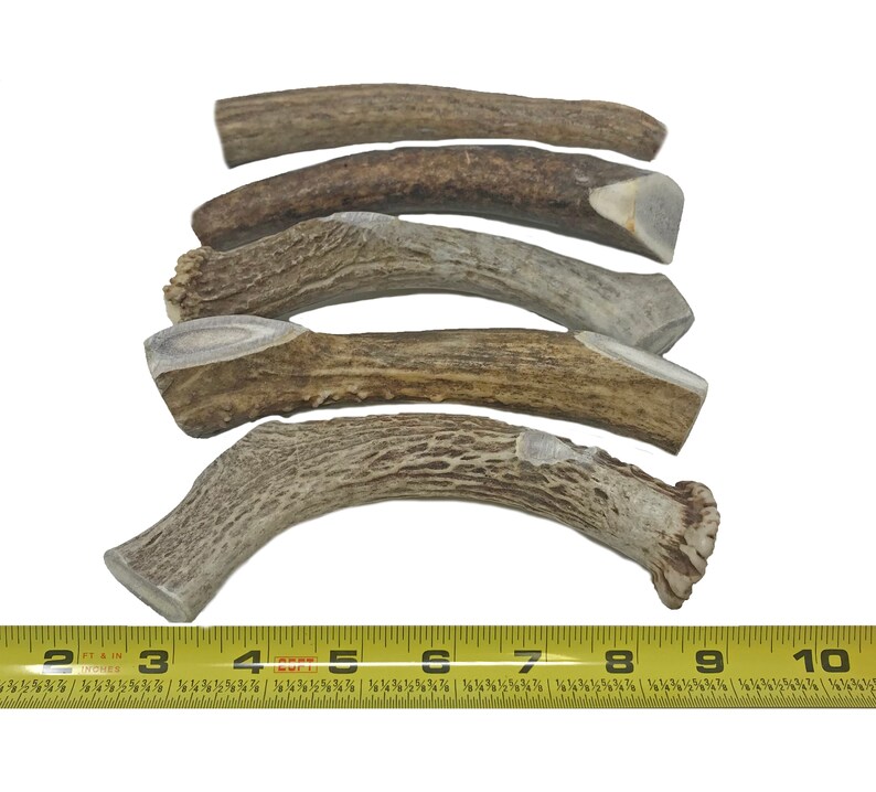 Antlers by the POUND Premium Deer Antler Pieces Dog Chews Etsy