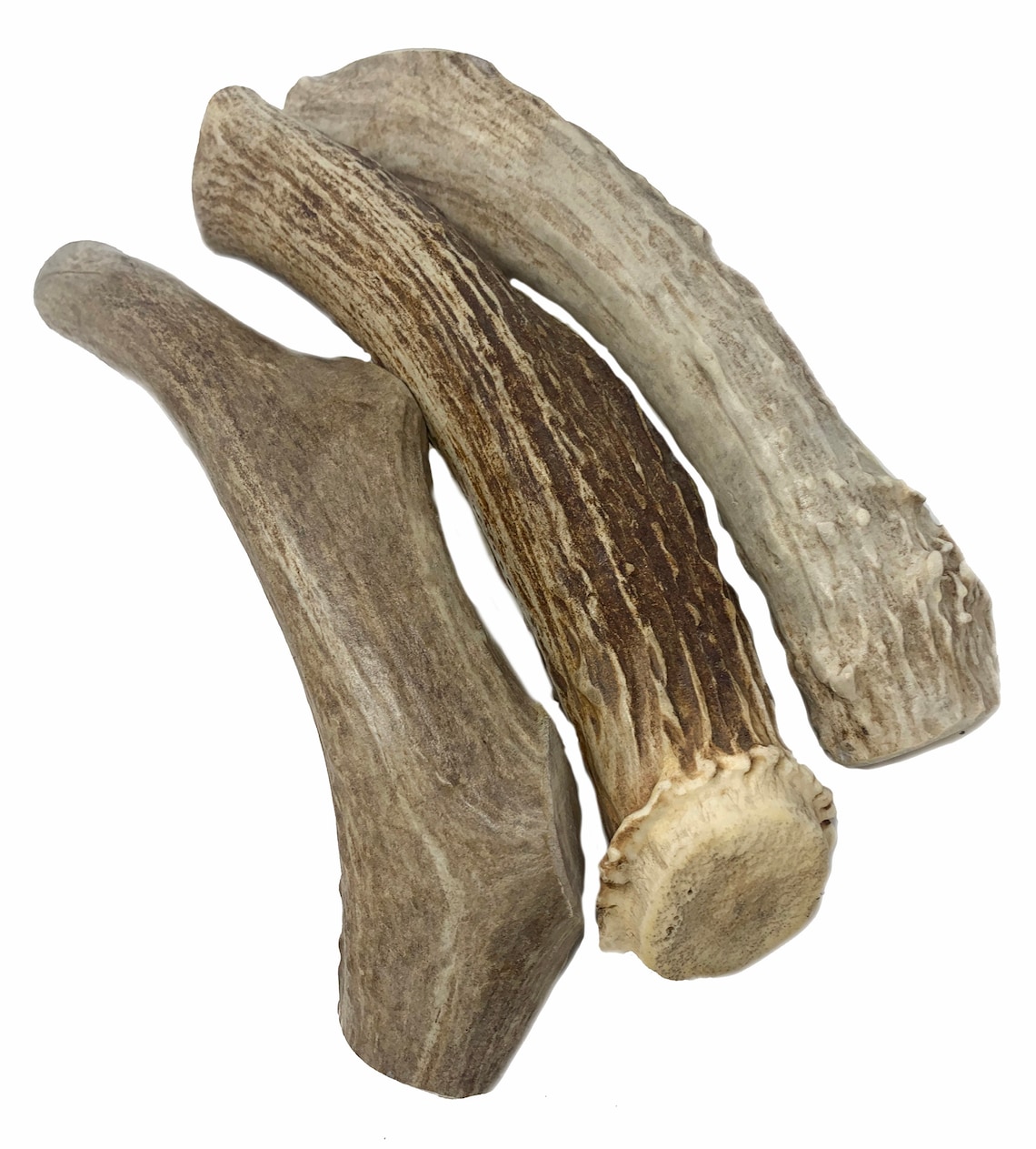3 Pack LARGE 7 Deer Antler for Dogs All Natural Dog Etsy