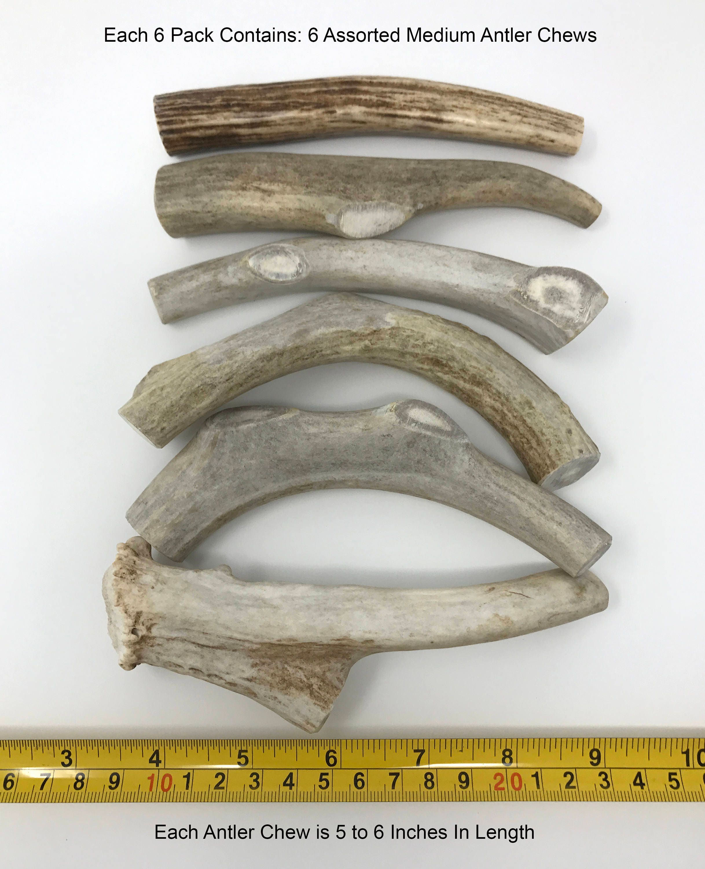 6 Pack Medium Deer Antler for Dogs All Natural Dog Chew Etsy